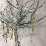 March 2017 -double branches