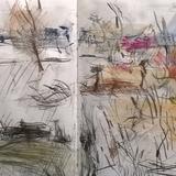 February 2017 - osiers around pond