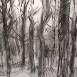 February 2017 - oak planting