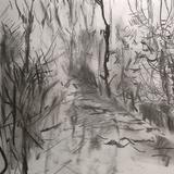 January 2017 - The ride