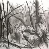 January 2017 - frost 