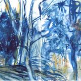 Lawshall Green January Evergreens