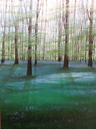 Bluebell Wood