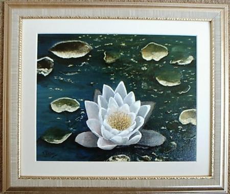 Water Lily   