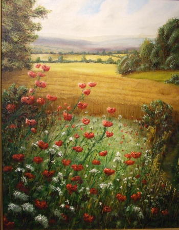 Poppy Field
