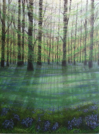 bluebell-wood-3