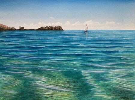 Tropical Saltwick Nab