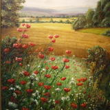 Poppy Field