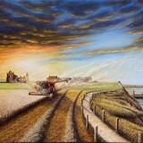 Whitby Harvest Time