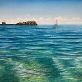 Tropical Saltwick Nab