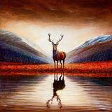 Red Stag - Glen reflection