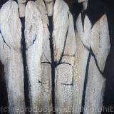 DOLLY BERTA MERRILLE