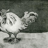 The Sky's Falling In!