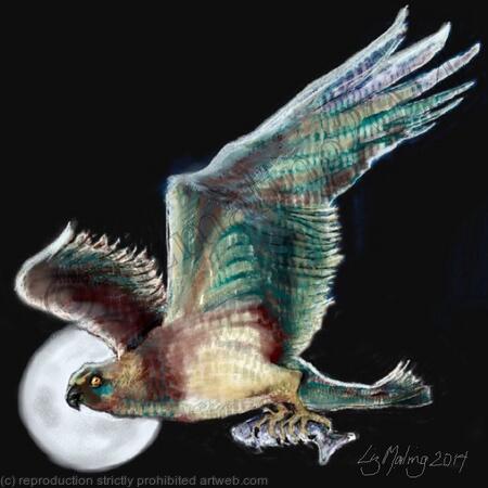 Hunting Osprey Night