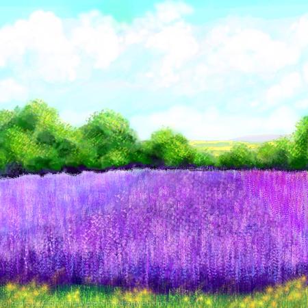 Summer Lavender