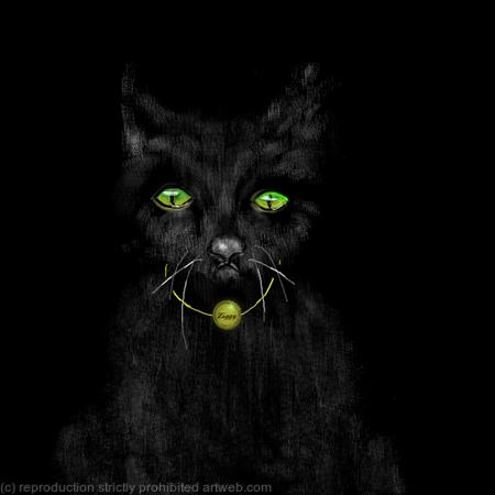 Ziggy Puss (name on collar can be changed!)