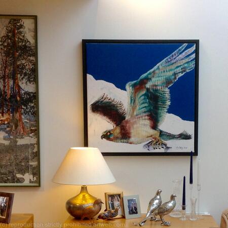 Hunting Osprey Winter