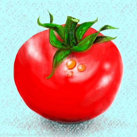 Wet Tomato