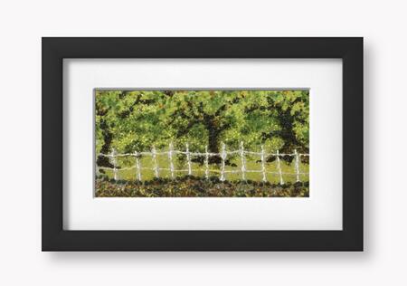 Summer Oaks, photograph