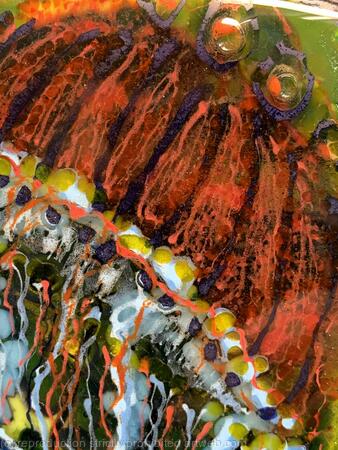 Red Jellyfish Detail