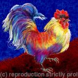 Cockerel