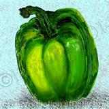 Green Pepper