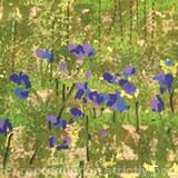 Detail-'Meadow' canvas