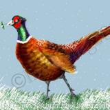 Pheasant with Mistletoe