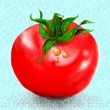 Wet Tomato