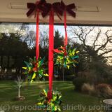 Small Window Hollies