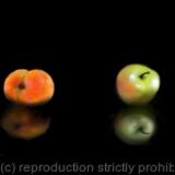Four Fruits on Granite