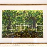 Summer Oaks, mounted, framed photograph