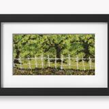 Summer Oaks, photograph