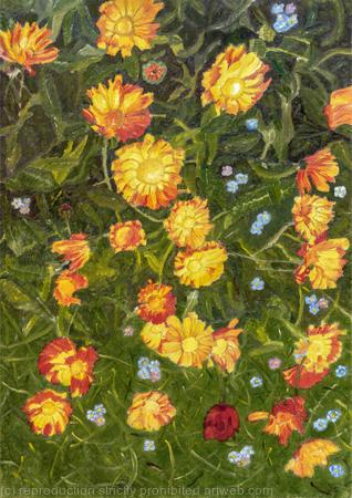 Marigolds 