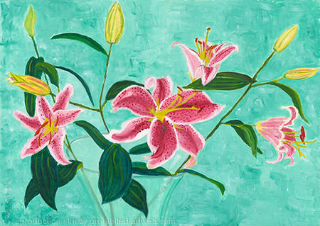 Lillies