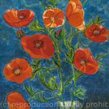 Poppies