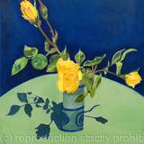 Yellow Rose 