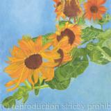 Spencer Square Sunflowers