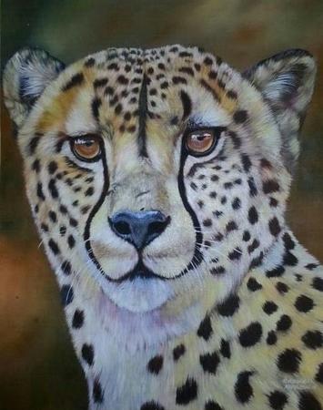 cheetah portrait
