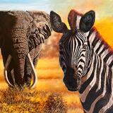 Zebra and Elephant 