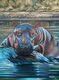 Baby Hippo bath