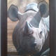 Rhino