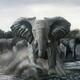 Storming Elephant