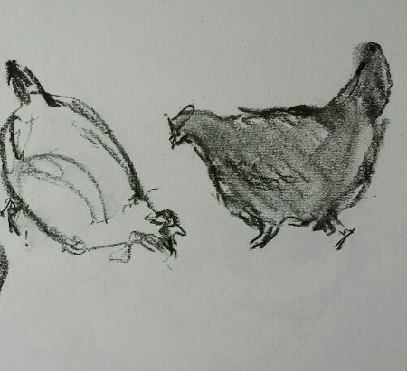 The Hens of Stamford Hill 4