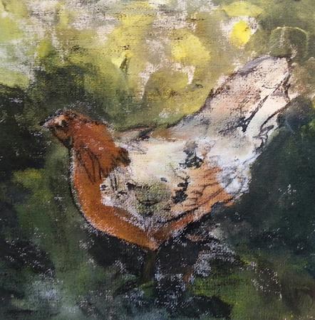 The Hens of Stamford Hill 1