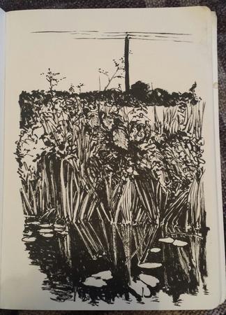 River Deben: reflections