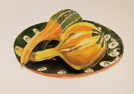 Squashes on a Russian plate