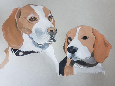 Beagles