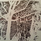 Rushing Past Trees at Night