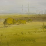 Canary Wharf from Walthamstow Marshes